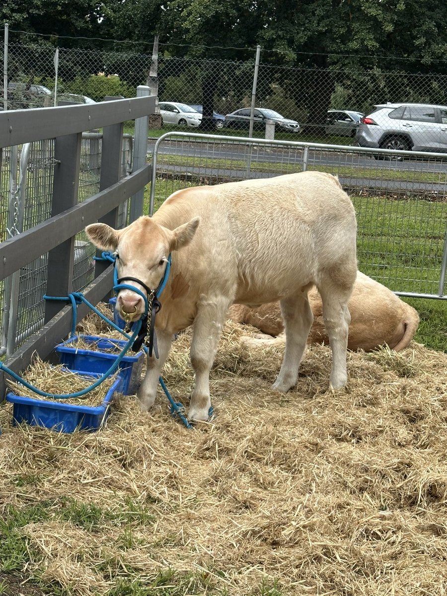 James Sexton tweet media