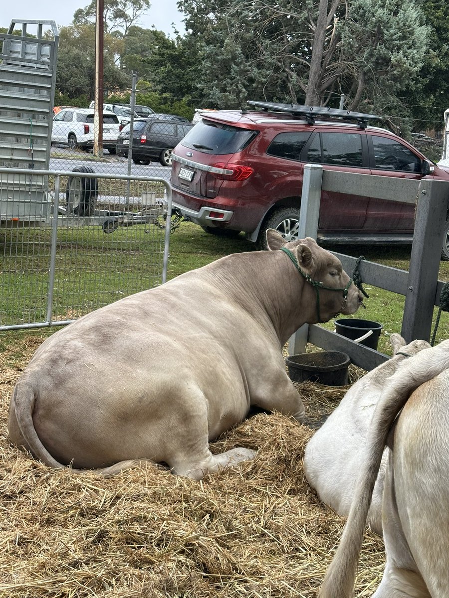 James Sexton tweet media