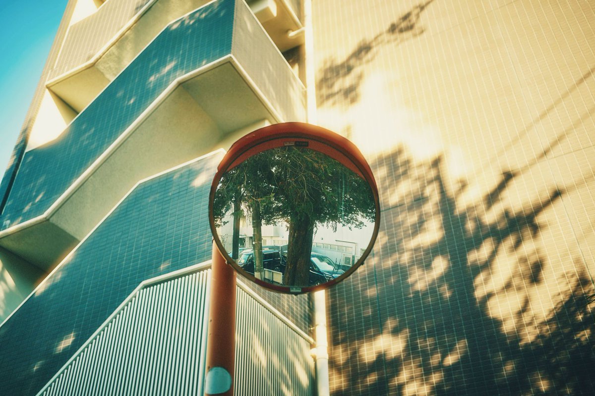 Tosano / Koji Chikazawa tweet media