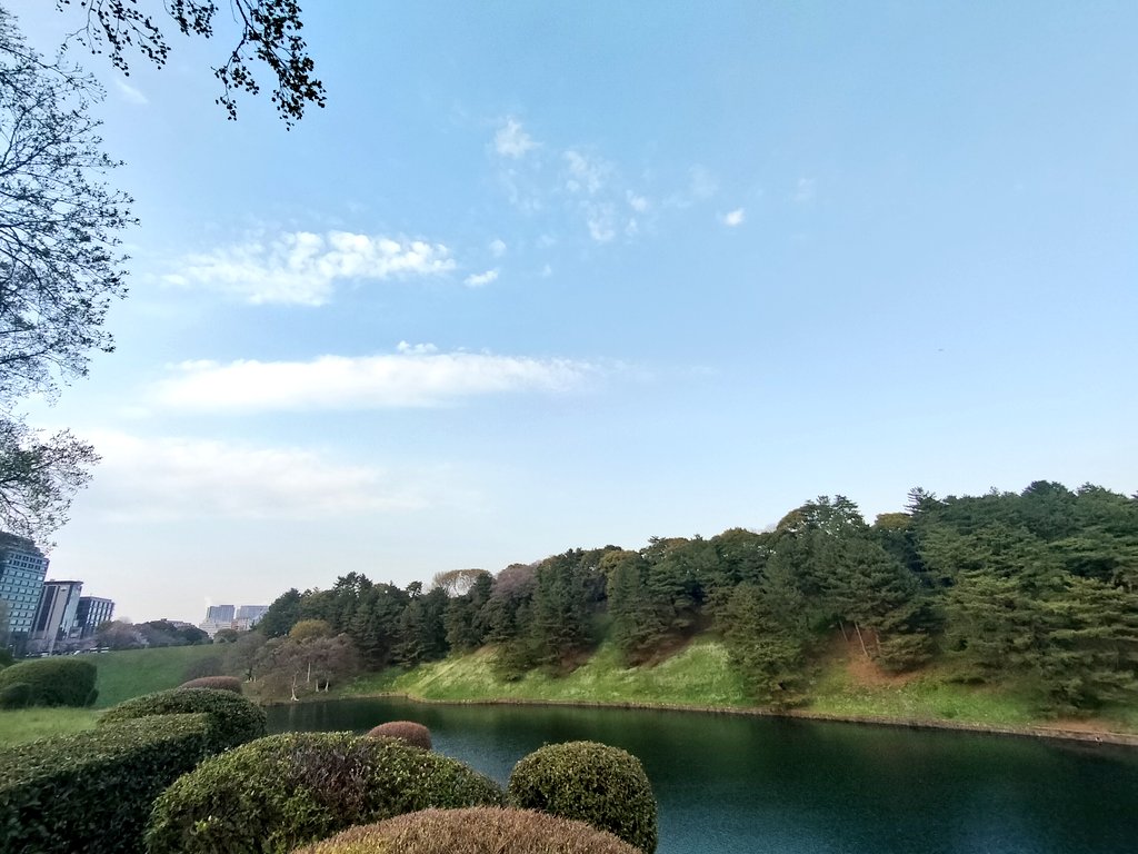 「いい天気だったので散歩したりお話聞いたりビール飲んだりして帰ってきました。面白い」|桃山のイラスト