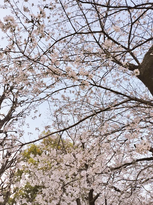 いい天気だったので散歩したりお話聞いたりビール飲んだりして帰ってきました。面白い一日だった