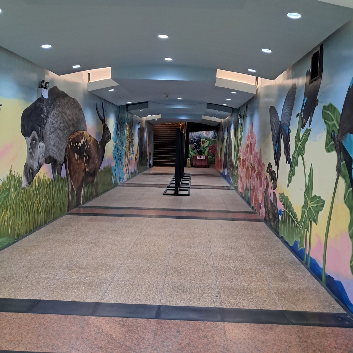 Kelev 🇨🇦 🇬🇧 🇵🇭 🇮🇱 tweet media