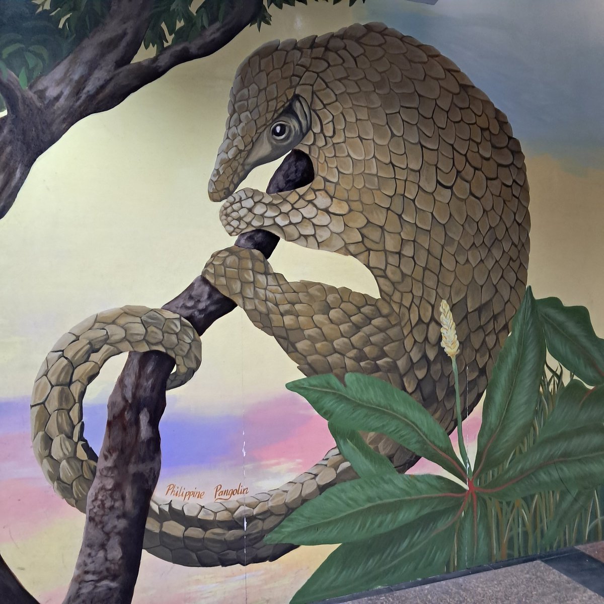 Kelev 🇨🇦 🇬🇧 🇵🇭 🇮🇱 tweet media