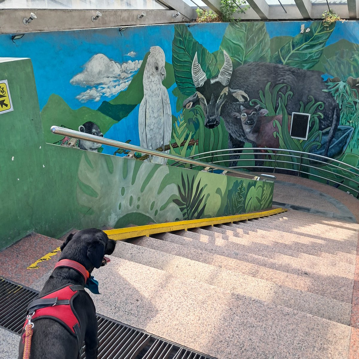 Kelev 🇨🇦 🇬🇧 🇵🇭 🇮🇱 tweet media