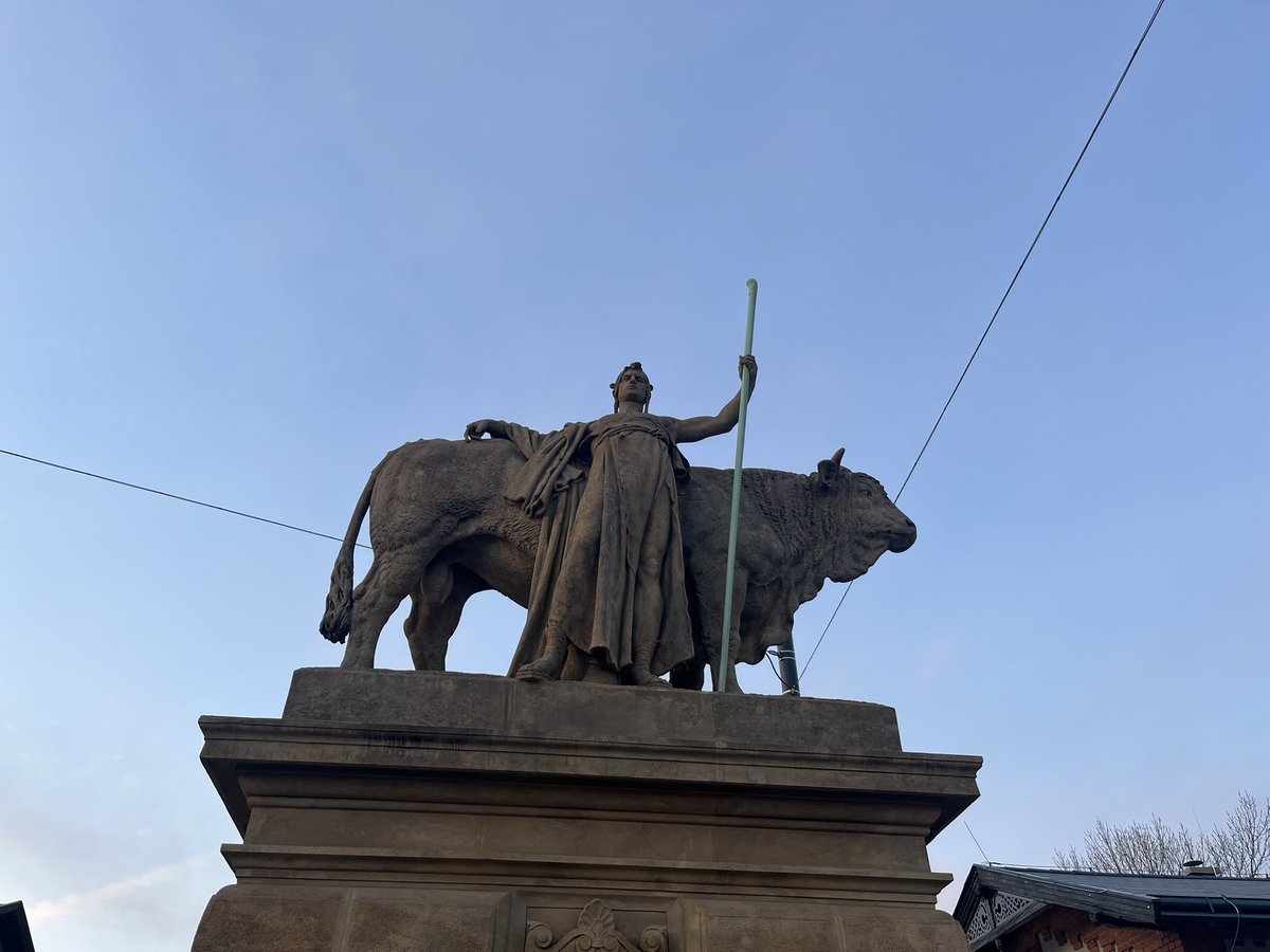 Mucker (Zed) tweet media