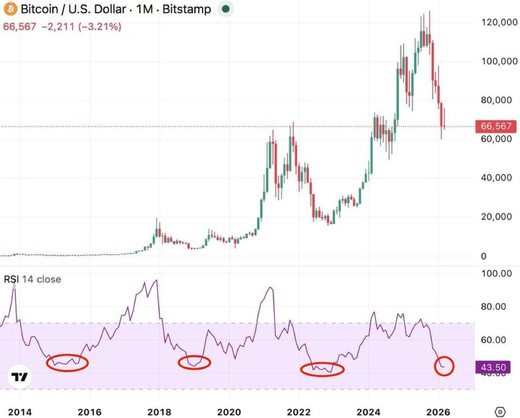 Economic Mike tweet media
