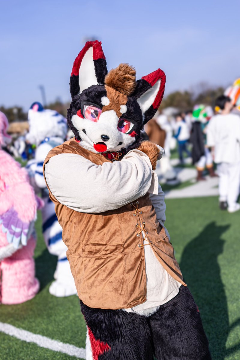 퀘이버 tweet media