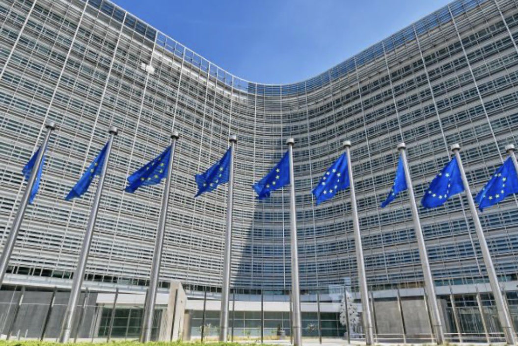 Dominic Alvieri tweet media