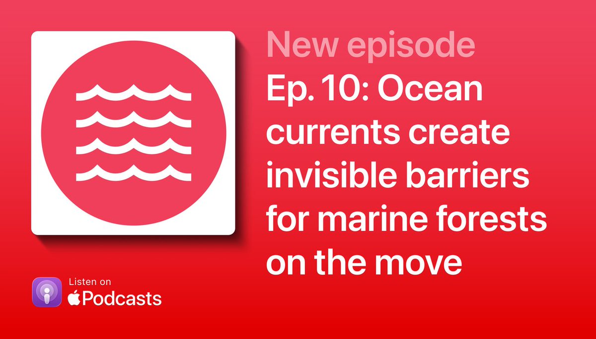 jorgemfassis's tweet photo. Ep. 10: Ocean currents create invisible barriers for marine forests on the move

Listen: https://t.co/6qx1LawrY2

#biodiversity #podcast #datascience #kelp #seagrass https://t.co/exENZS7uGk
