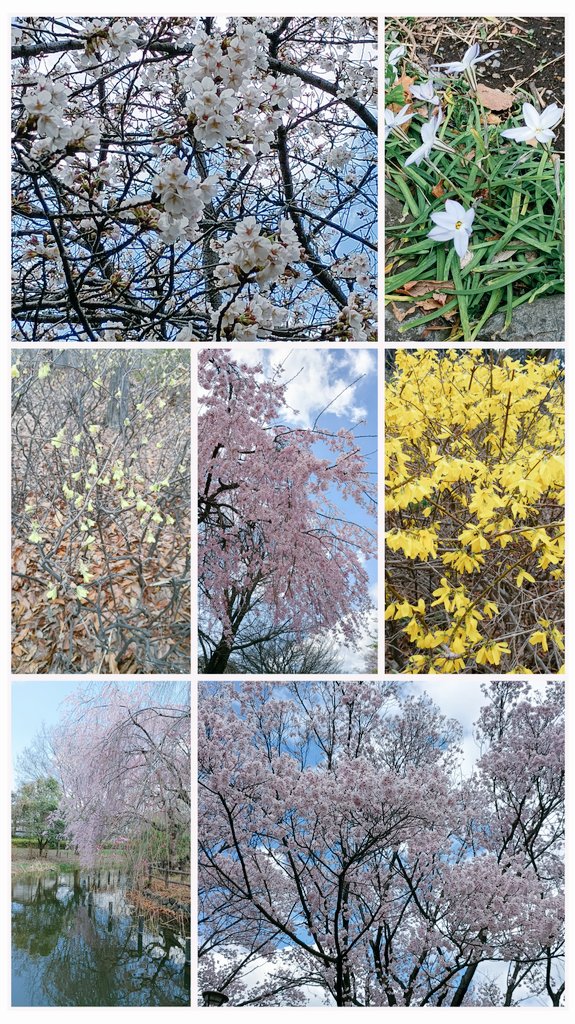 えりー tweet media