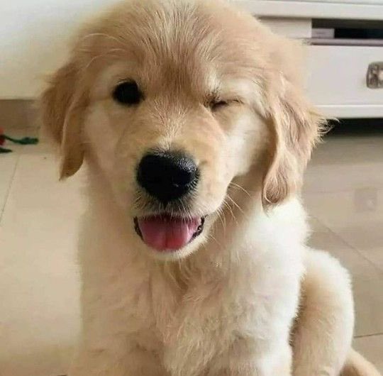 ☁️ melt , ♡ tweet media