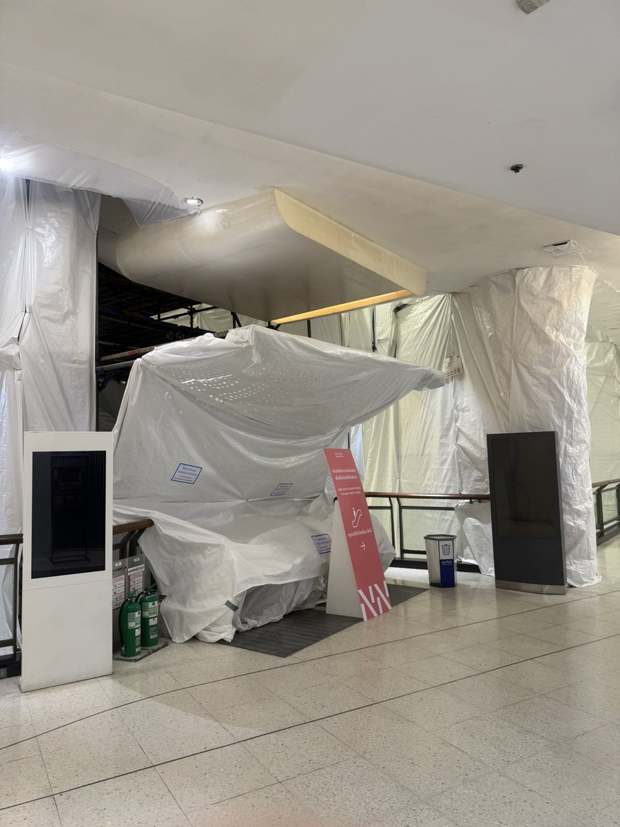 Sunny BKK Dude 🇹🇭 🏝️🎵 tweet media