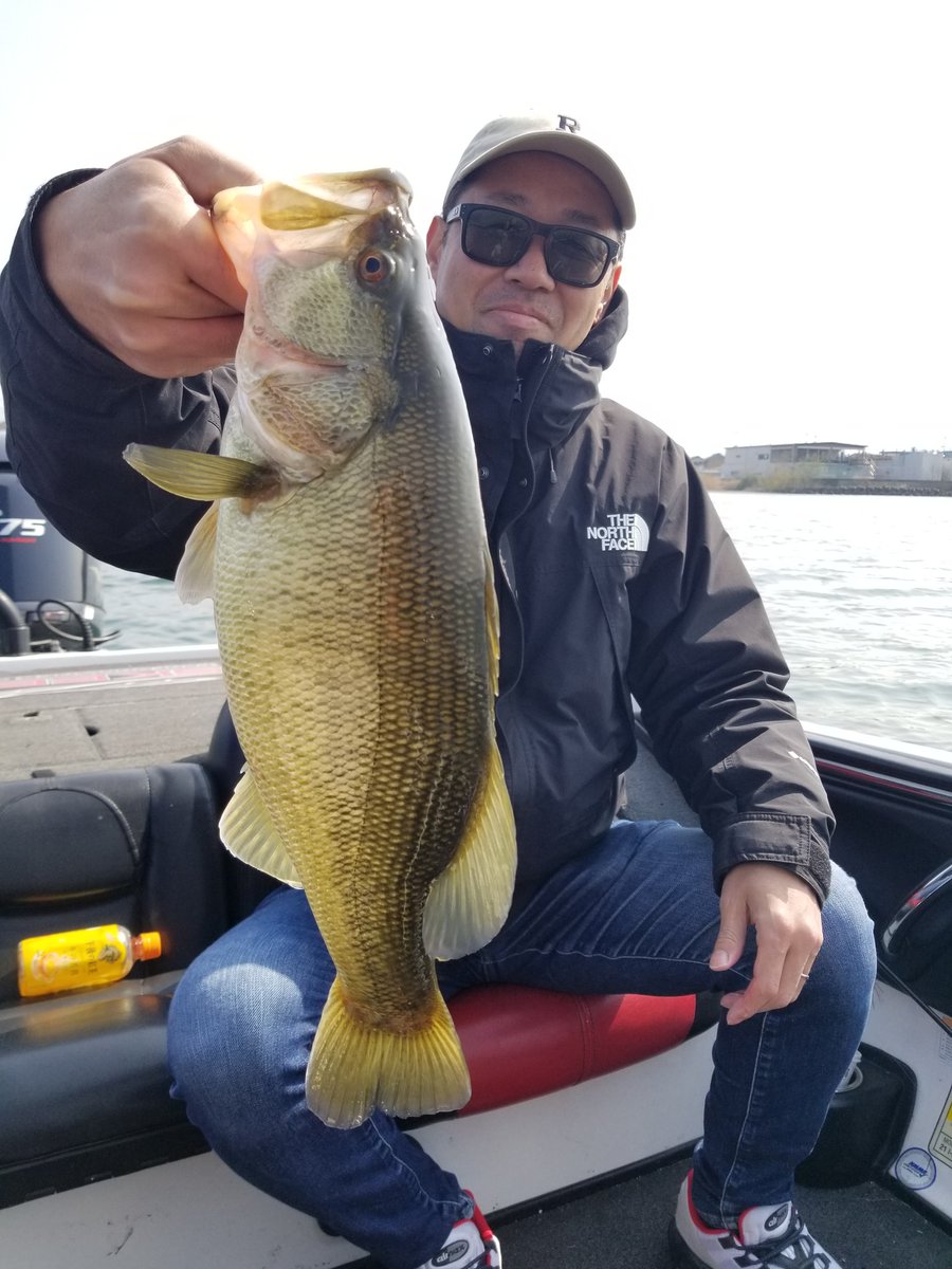 lunkerAssist's tweet photo. 【通常ガイド】

リピーター親子さん♪お子さんの卒業祝いに…最高の思い出をプロデュース！(笑)

季節柄、魚は浅瀬に移動を始めてると思うけど…果たしてどうでっシャローw？👍

硬い物に居着く魚、場所を探して泳ぐ魚が混在。…私は伝えたい！住まい探しは…

スーモで検索！(爆)( *´艸｀) https://t.co/lmQJHk1RmQ