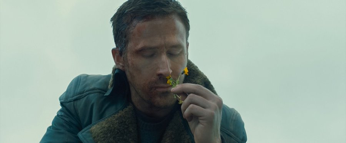 Stephen Gibbons tweet media