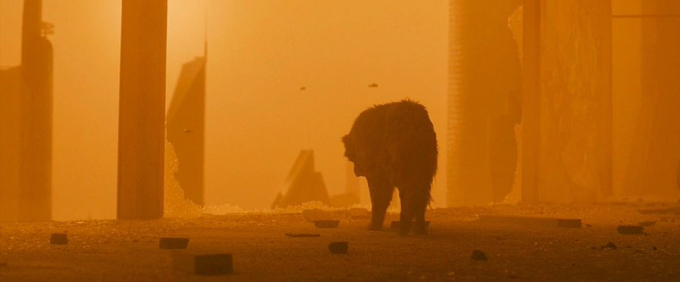 Stephen Gibbons tweet media