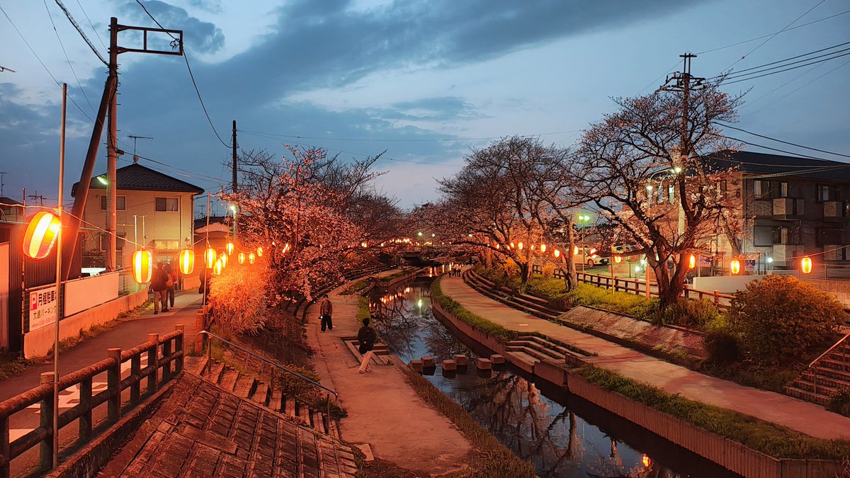 AZUREBIRD tweet media