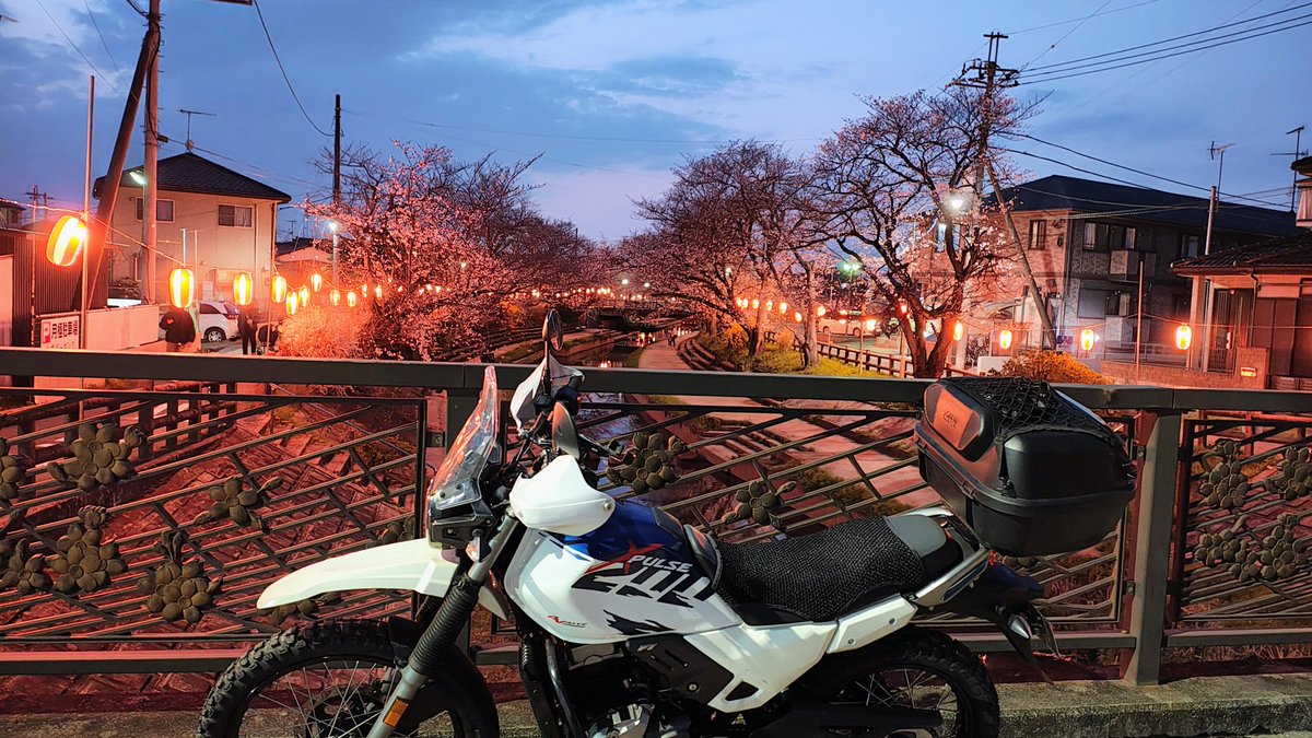 AZUREBIRD tweet media