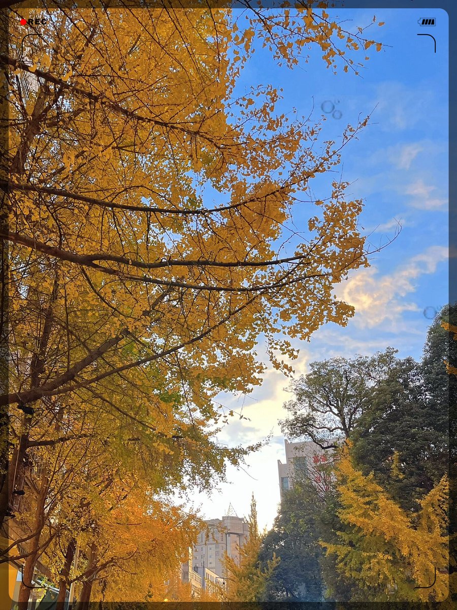 Kantima Chanrun tweet media