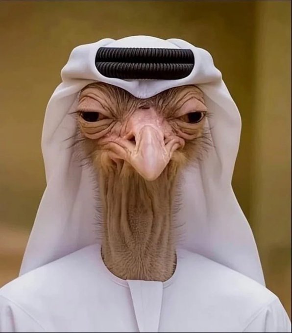 NINJA_911 tweet media