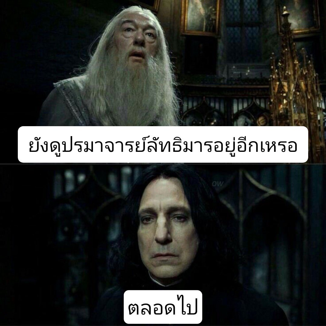 .˚𖦹 ᴢʜᴀɴᴢʜᴀɴ ྀི tweet media