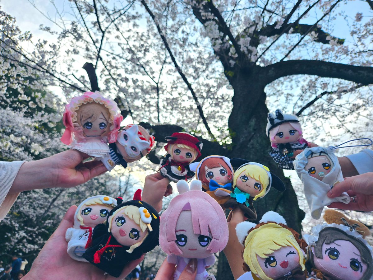 しうあ/H.I.Fと2nd day1 tweet media