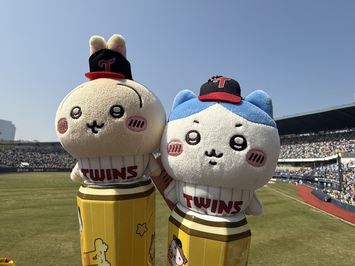 pipooia's tweet photo. 마루 배트에 먼작귀 넣귀 😆💕💕💕💕💕💕💕 https://t.co/NfP7vOOixR