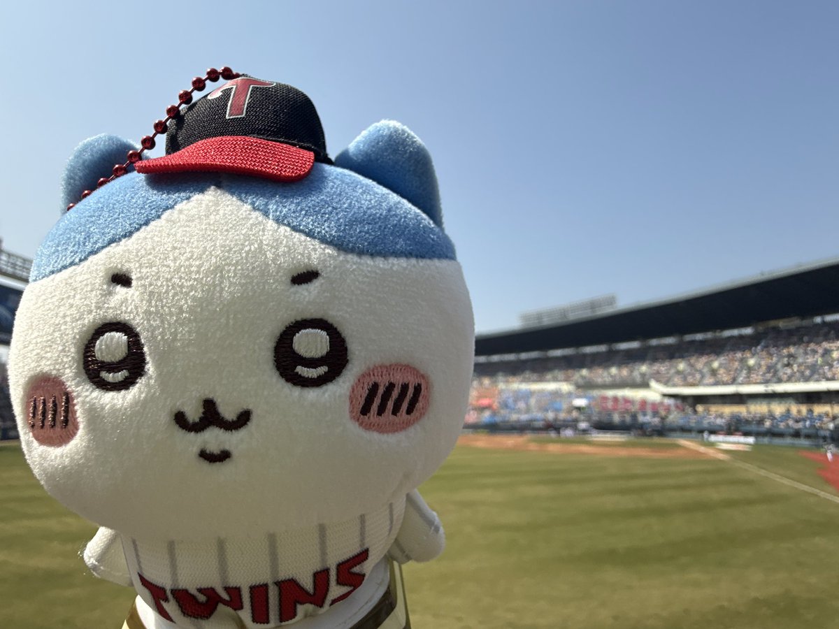 pipooia's tweet photo. 마루 배트에 먼작귀 넣귀 😆💕💕💕💕💕💕💕 https://t.co/NfP7vOOixR