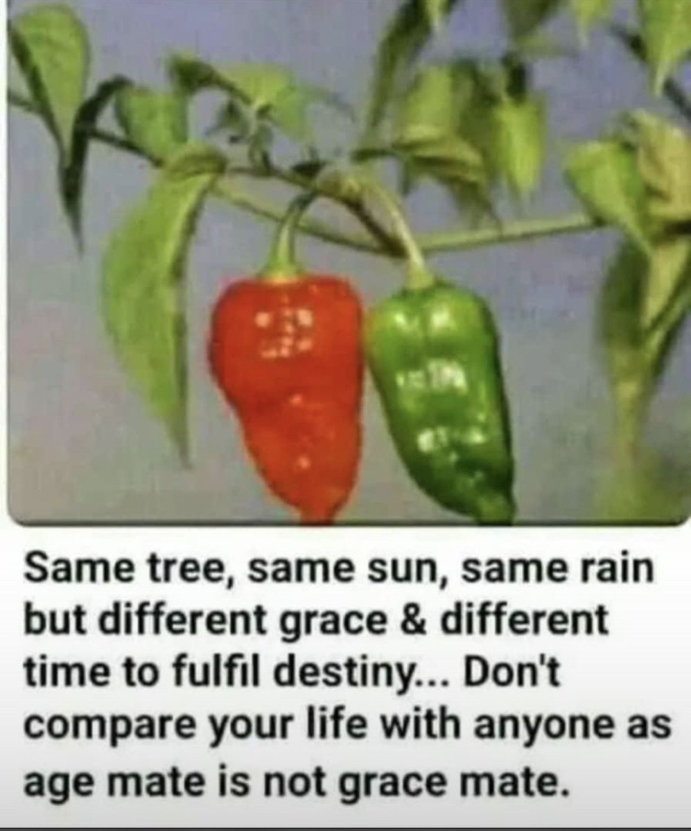 Marwan_fx 🛜 tweet media