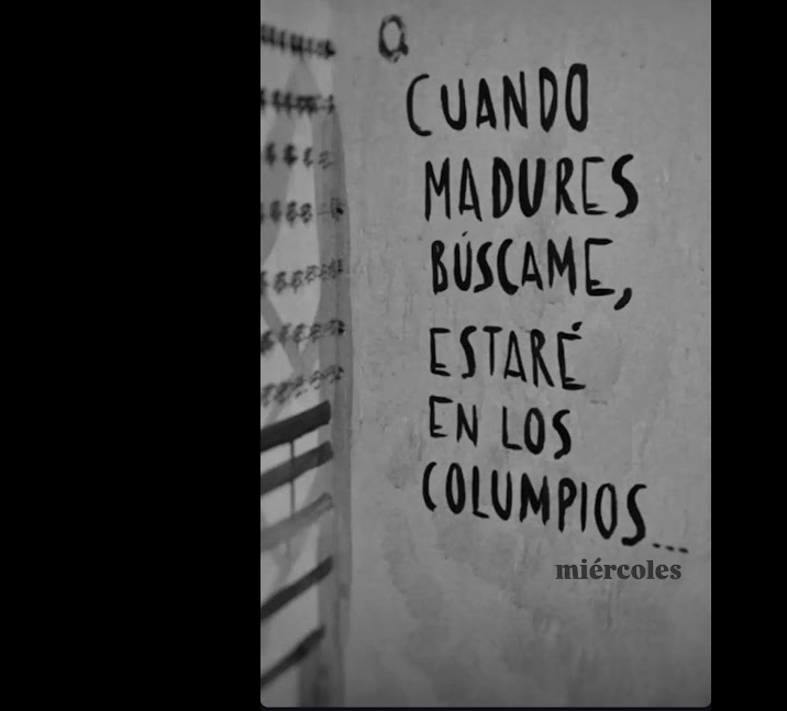 Ahora que no les importa
ese sacrificio.. de los que les admiran..
aunque sabe, que es una batalla perdida... 
que se repite..
al traer más soluciones.. que problemas..
con frases para tomar a diario...

#Katharsis

#Conciencia #Psicología #Motivación #Emprender #Vitoria #Gasteiz