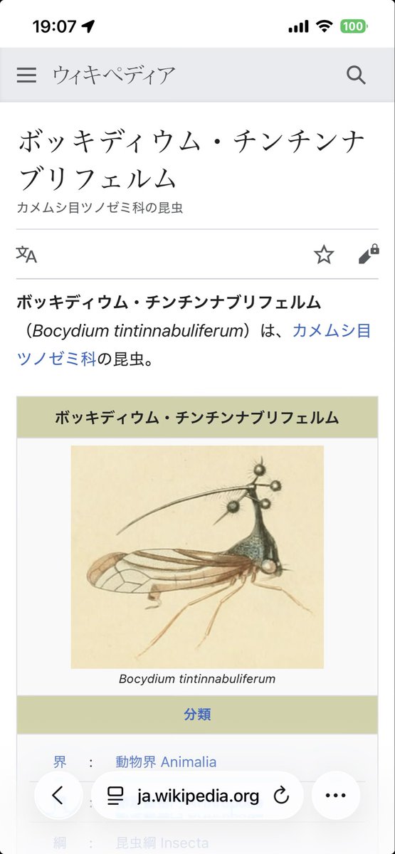 レオパルドン横山 tweet media