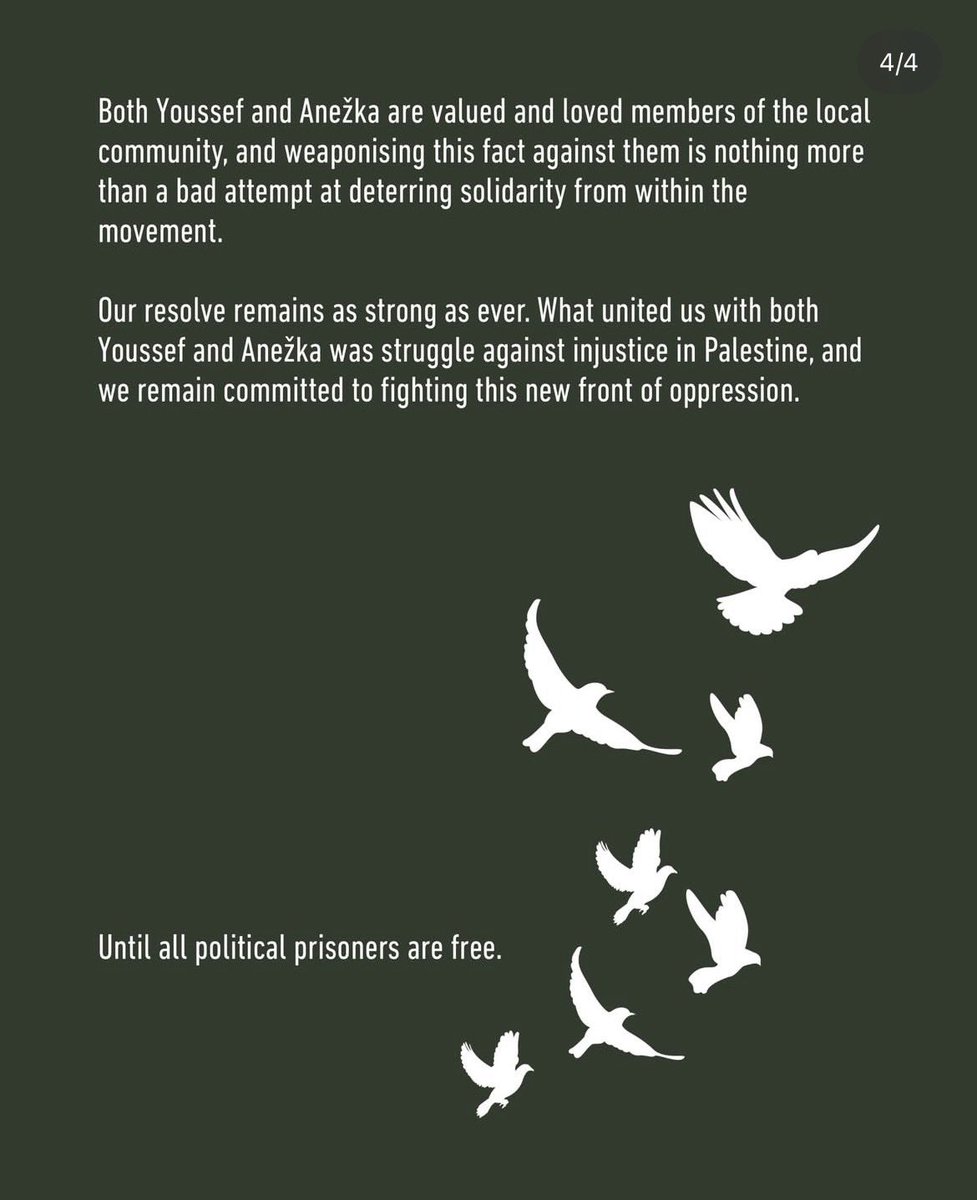 These two pro-Palestine activists are being targeted and framed for their public political activities and who they follow on Instagram. The state even detained and IDed everyone who showed up to their court hearing. Clearly the police are desperate and have no leads.