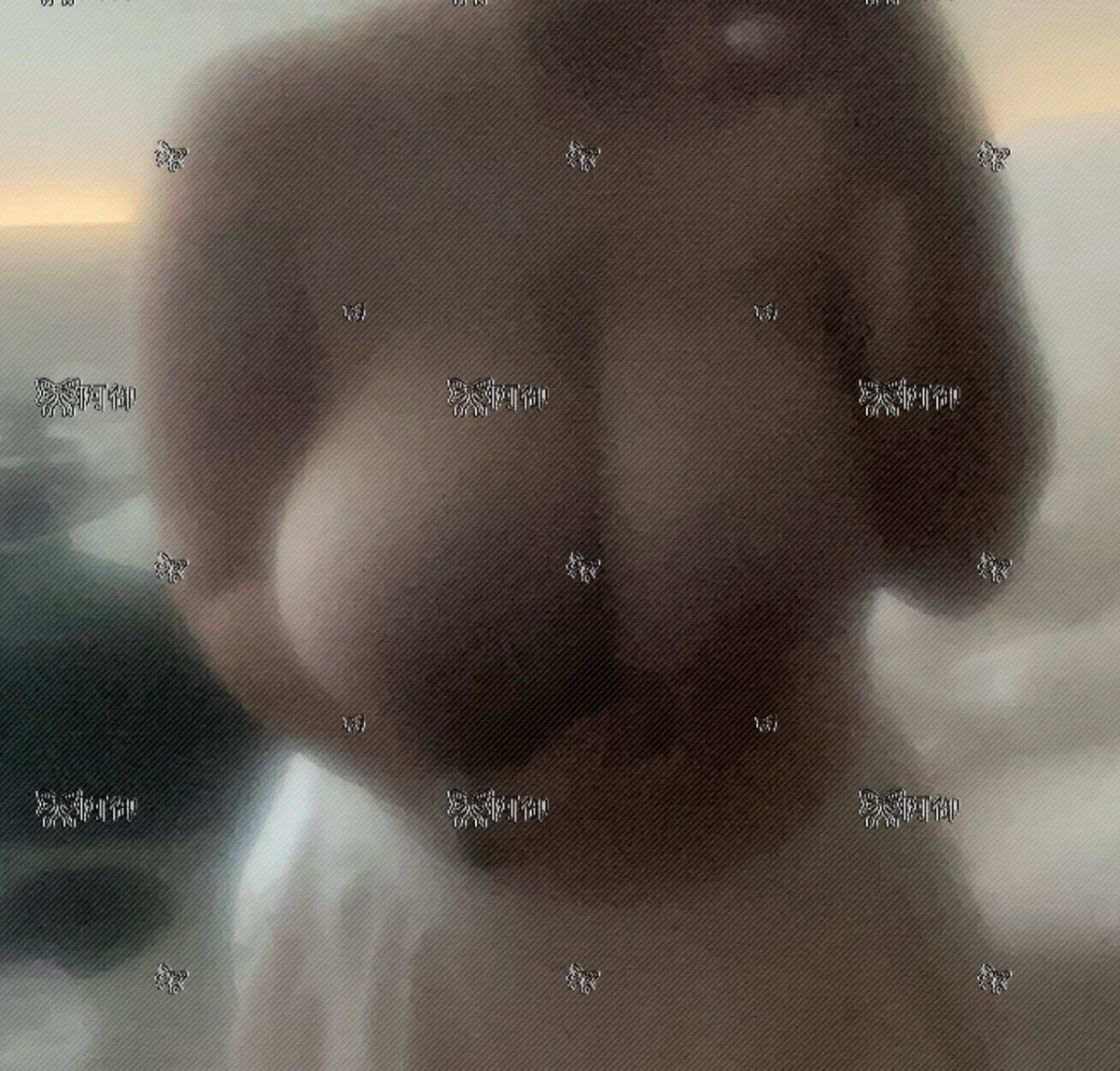 阿御（只回复🚪） tweet media