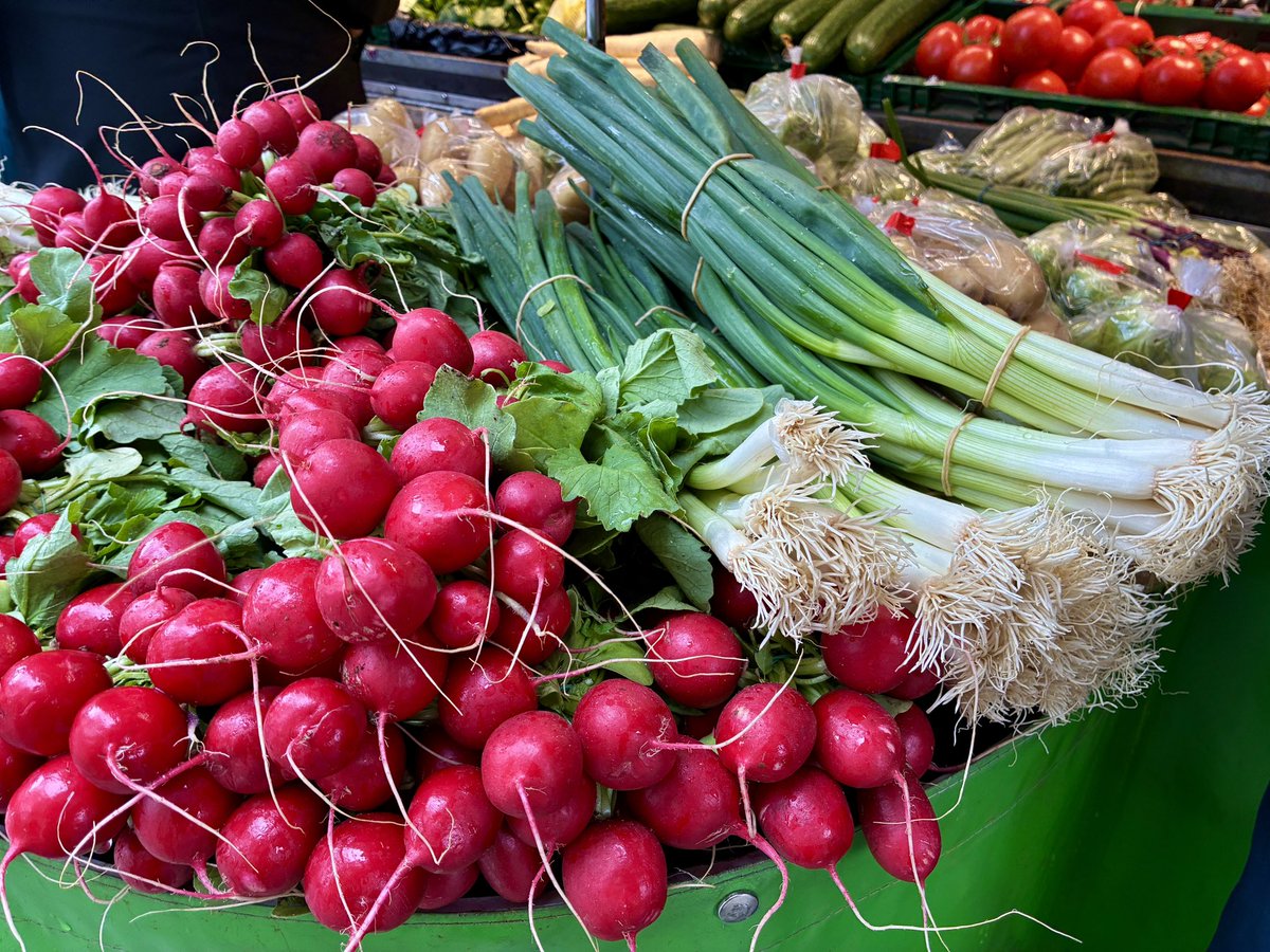 Bernhard B. tweet media