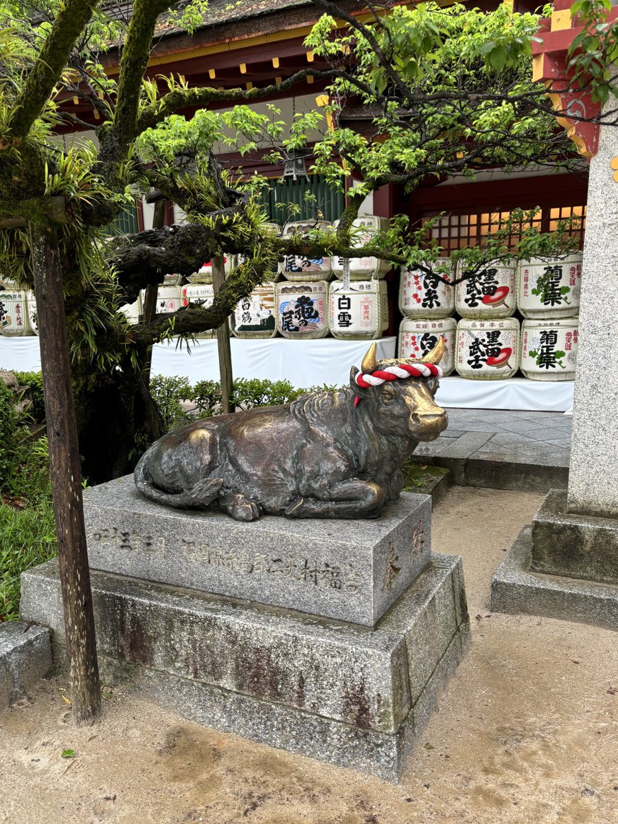 新田ひより tweet media