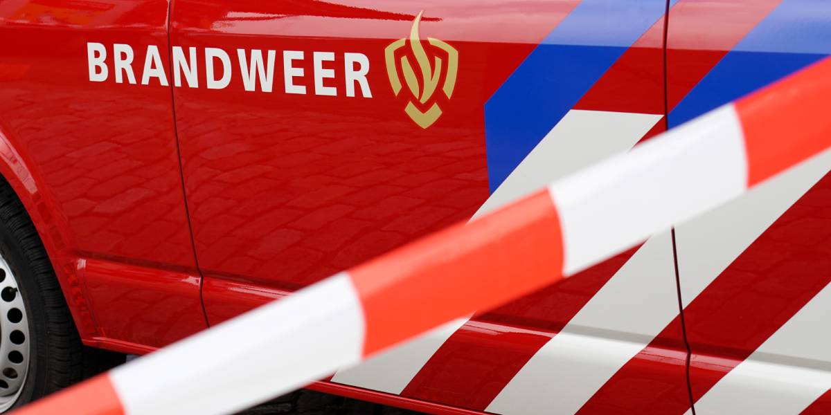 TPO - ThePostOnline tweet media