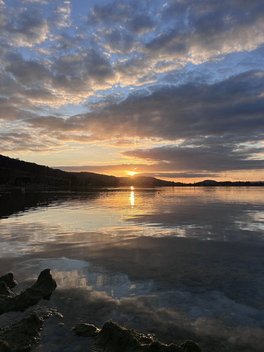 A. Lukas Iff tweet media