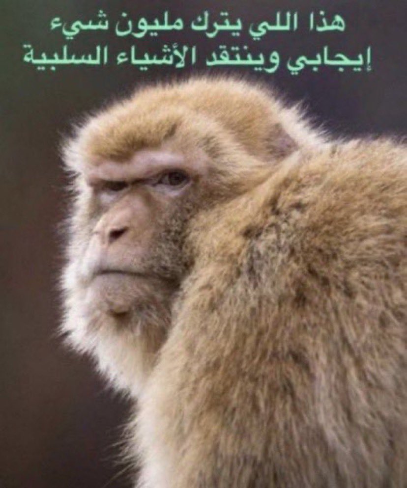 ArmoredXIV | عبدالرحمن tweet media