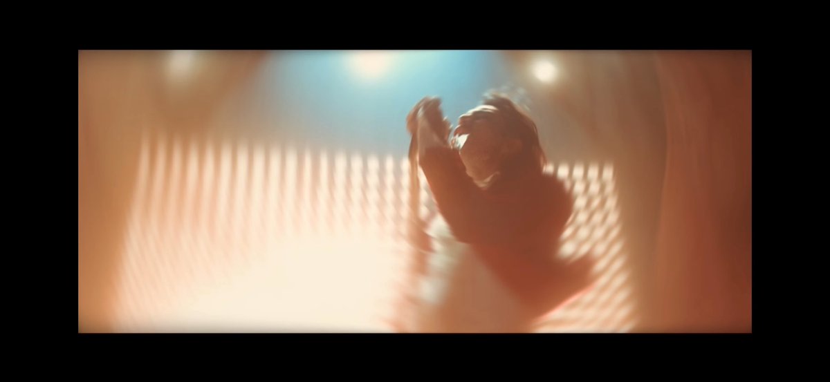 miss calico tweet media