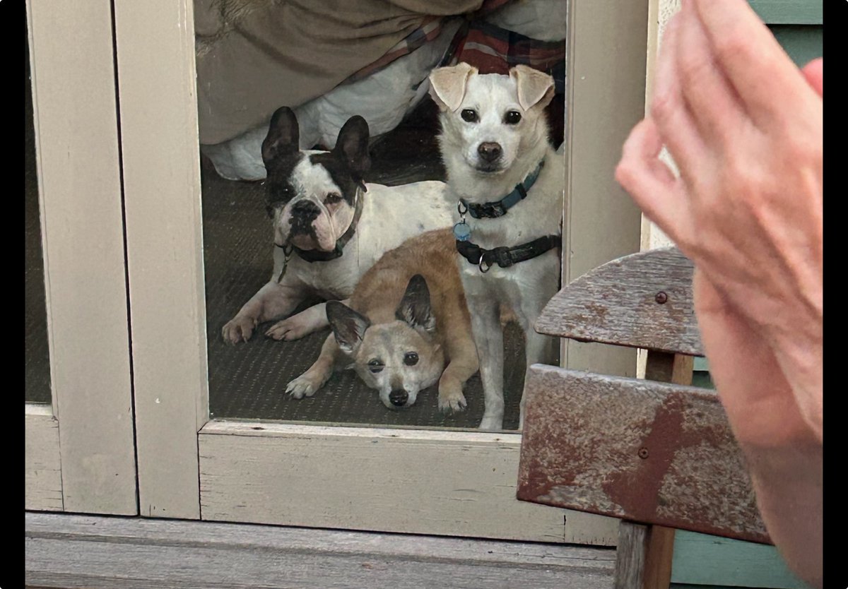 Peter Ford tweet media