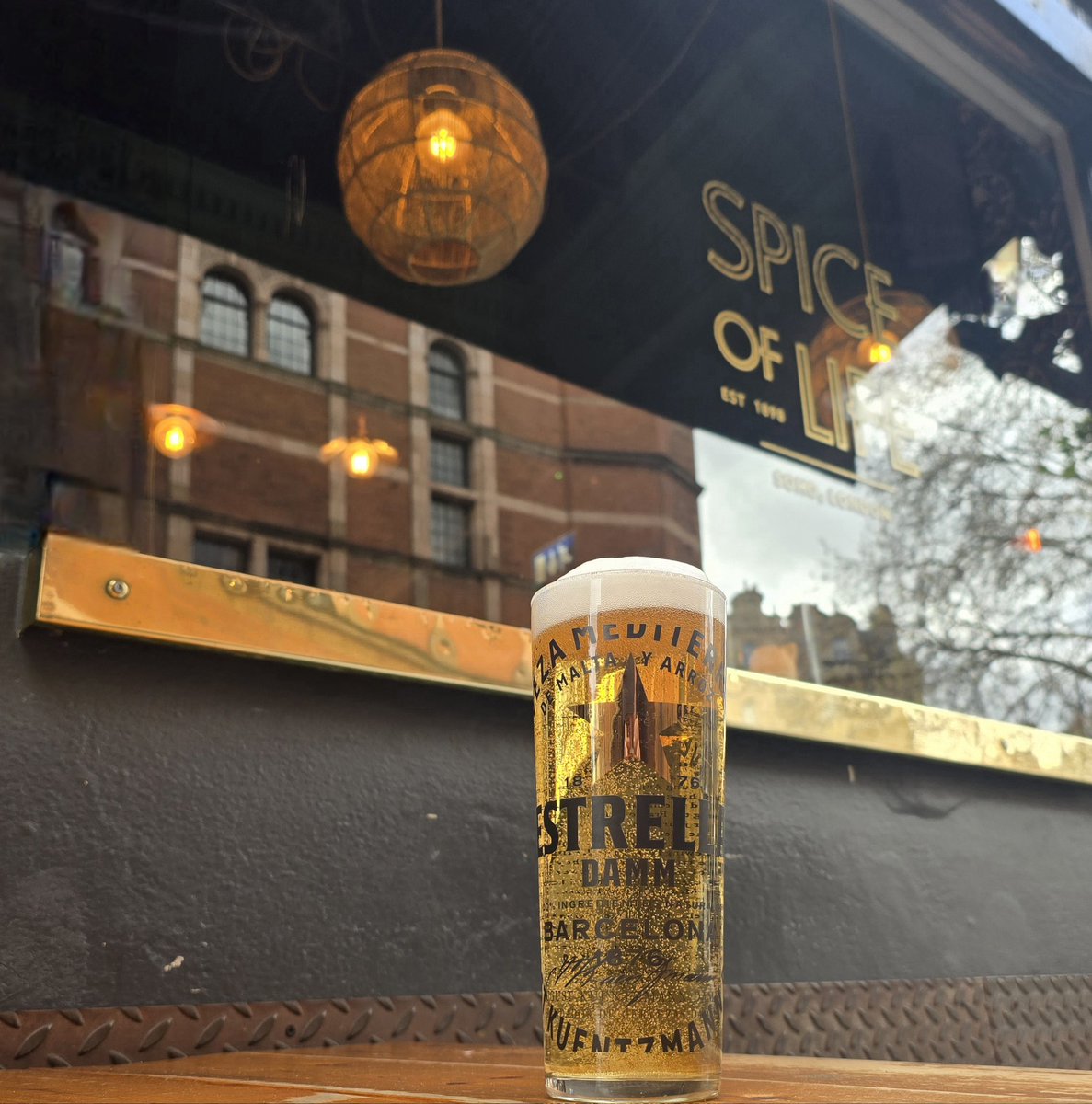 Chelsea Dan tweet media