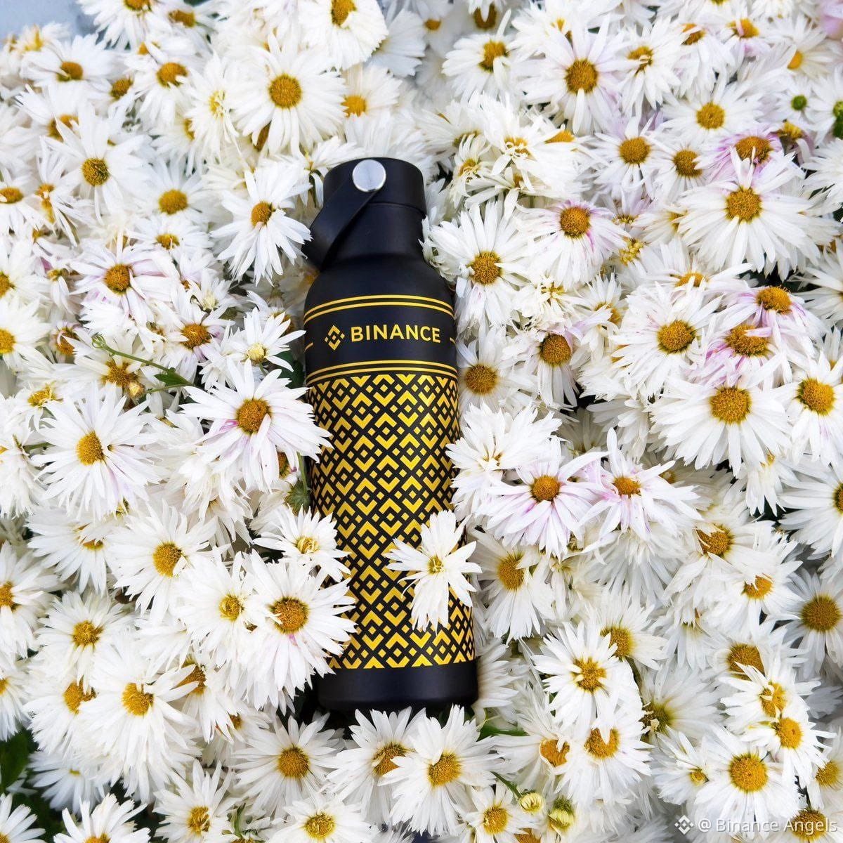 Binance España tweet media