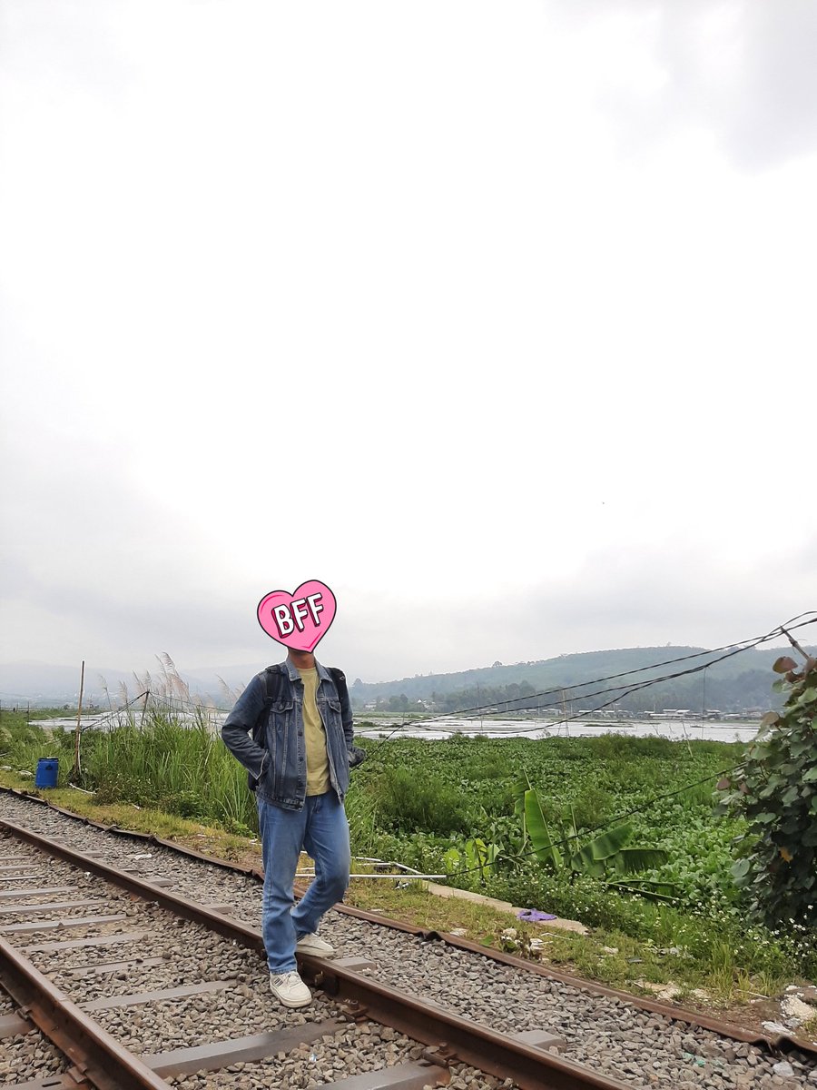 peri mungil tweet media