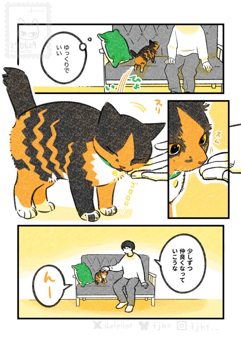 ふじひと🐾ひび猫5/20発売 tweet media