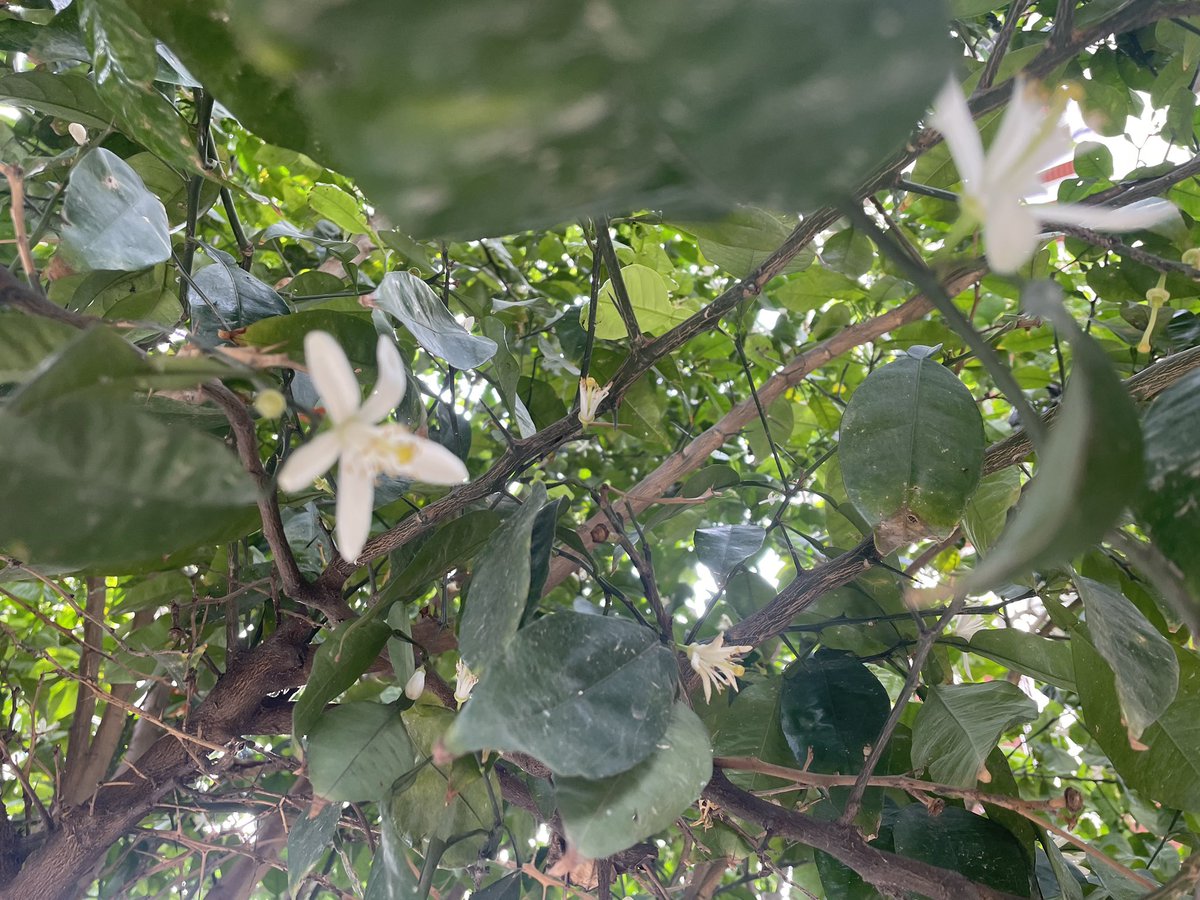 🇱🇧Nathalie 🇱🇧 tweet media