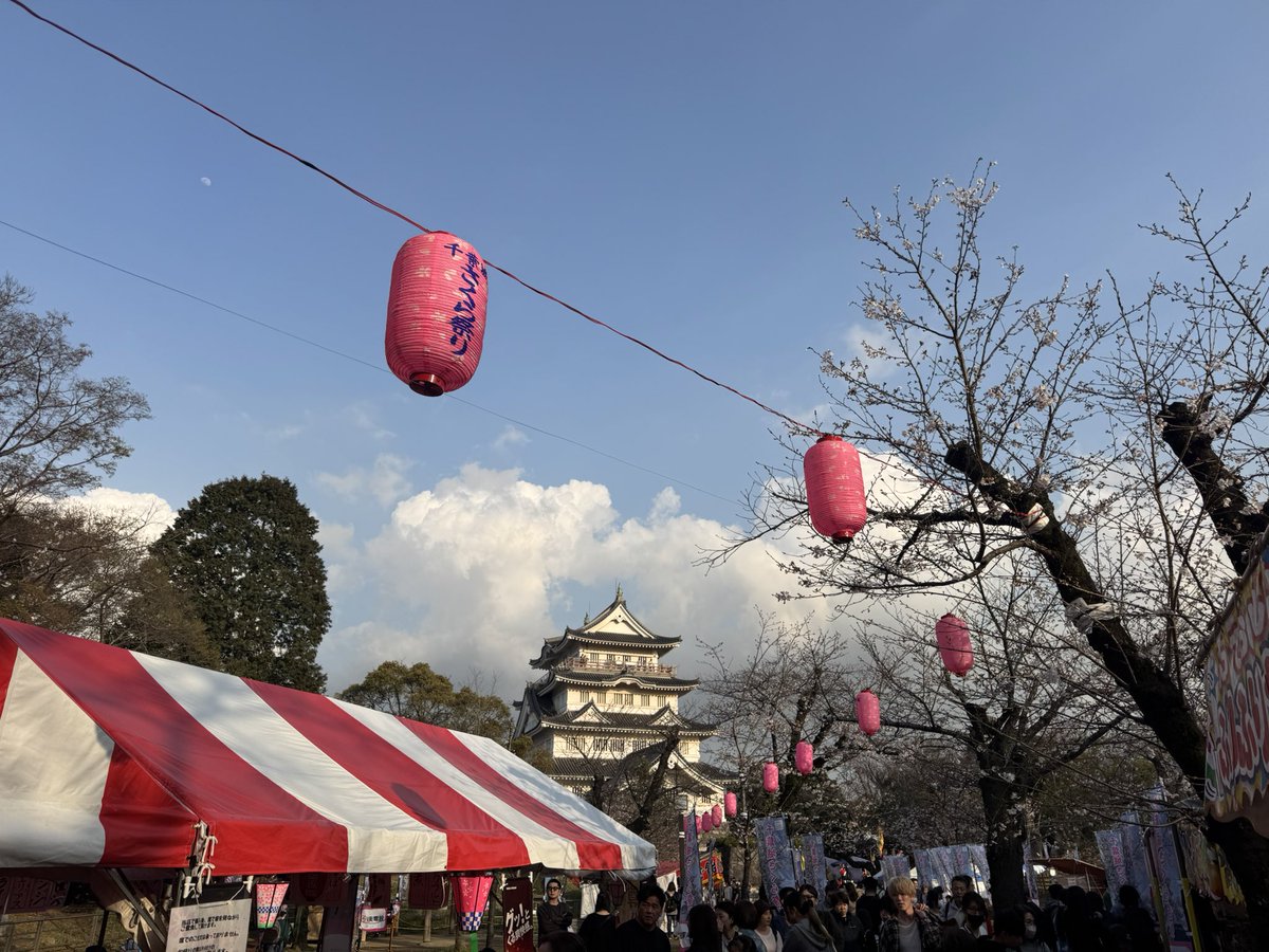 真下正樹 tweet media