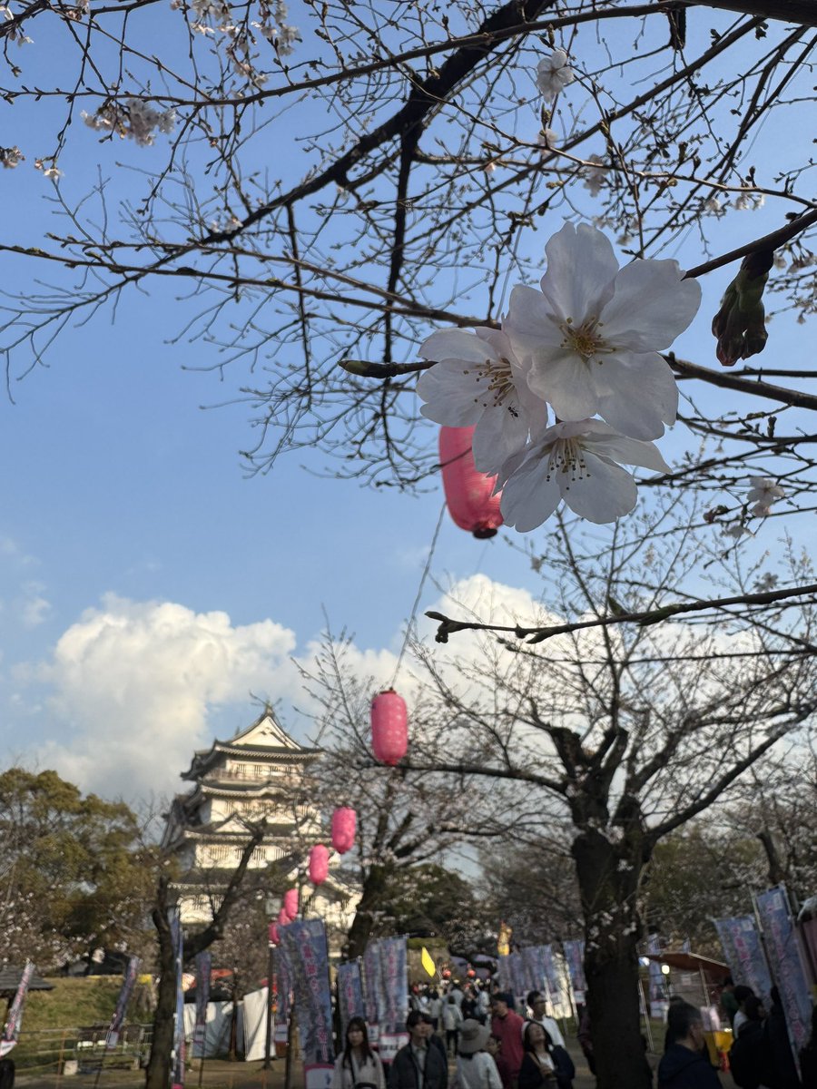 真下正樹 tweet media