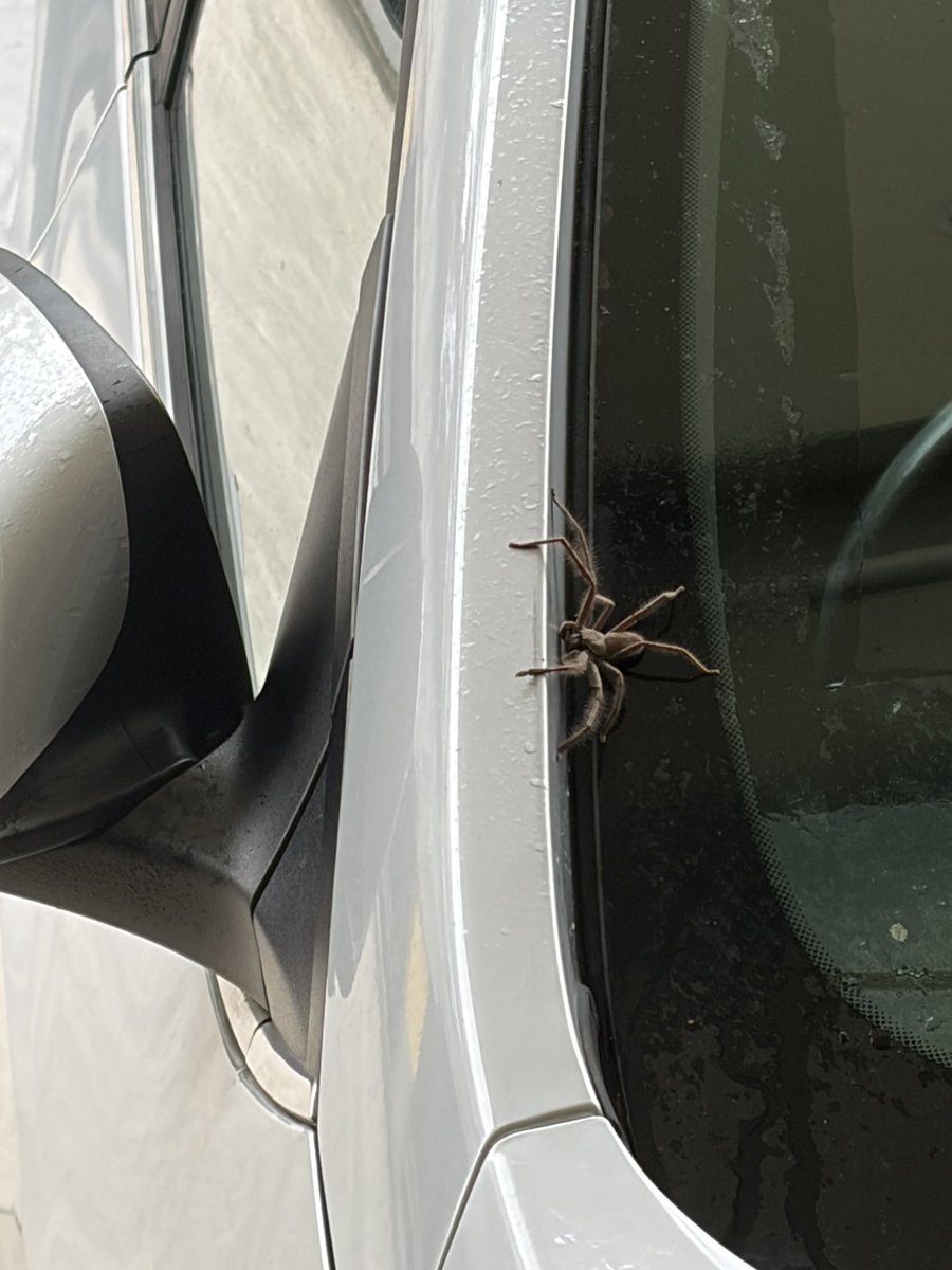 ⋆˚꩜｡ tweet media