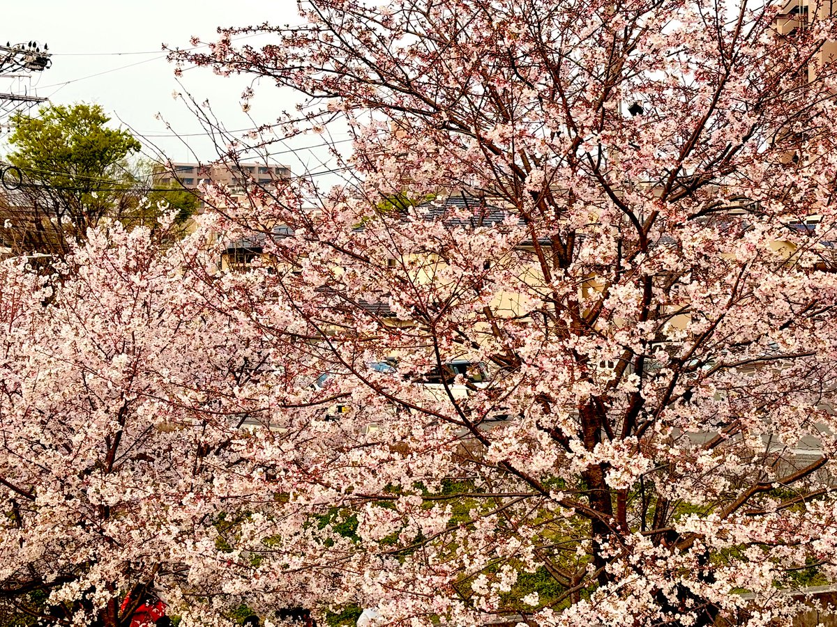 ⋆͛❥う̤̮ぉོる⃓ふら⃕む֒⑅⋆͛ tweet media