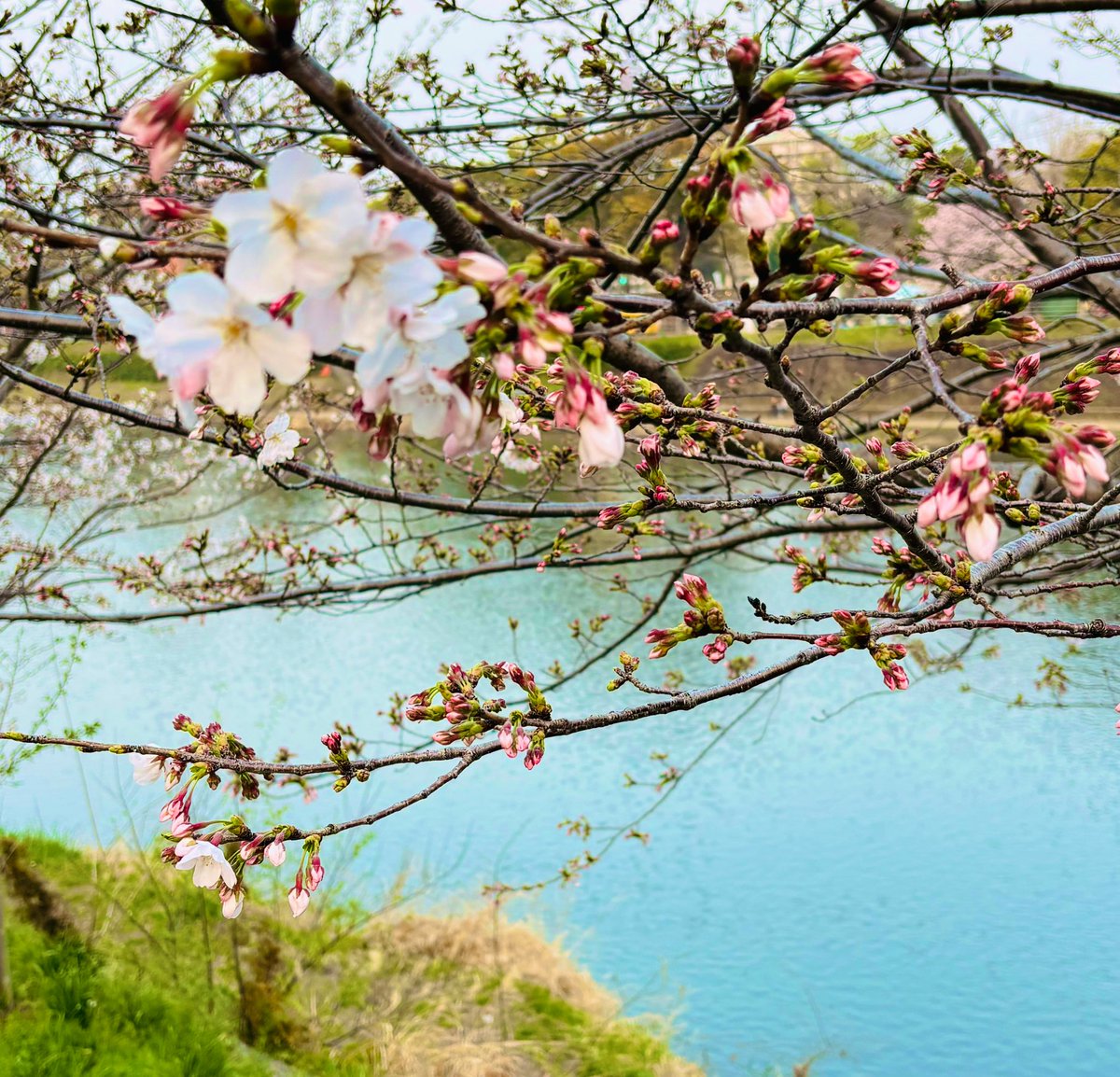 ⋆͛❥う̤̮ぉོる⃓ふら⃕む֒⑅⋆͛ tweet media