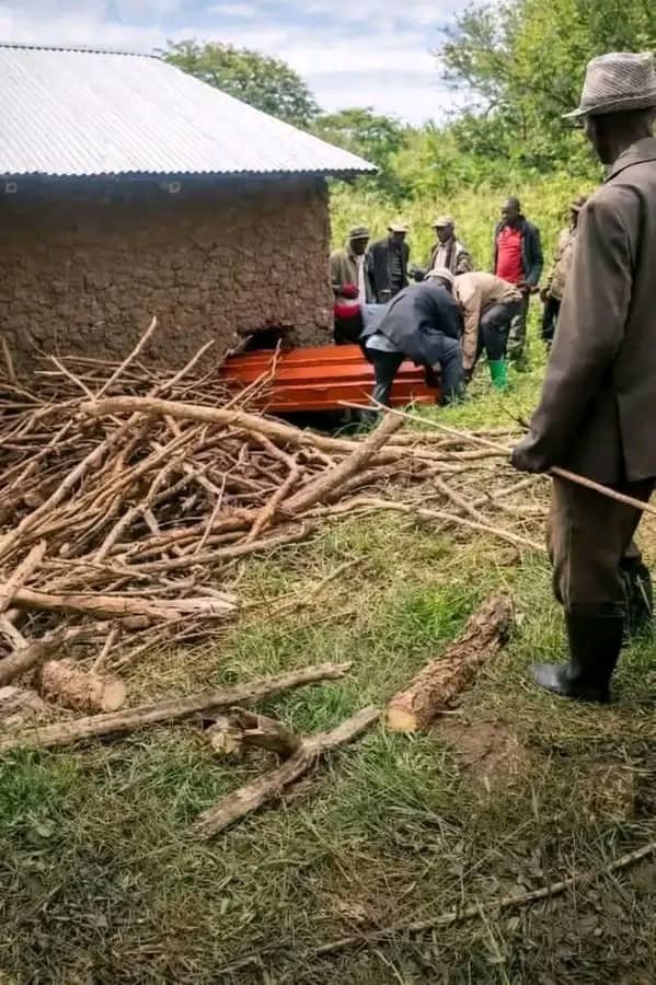 Dandaro Online tweet media